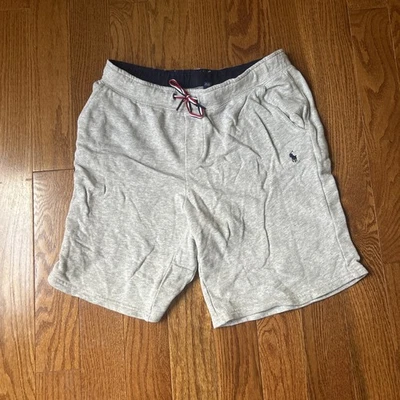 Polo Ralph Lauren Small Pony Boys Gray Sweat Shorts XL (18-20) Casual - Image 1 of 4