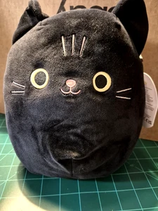 Squishmallows 8" Jamal Black Cat  Hot Topic Exclusive New With Tags Halloween - Picture 1 of 6