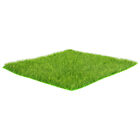 Miniature Lawn for Dollhouses - Make Your Miniature World Come Alive!