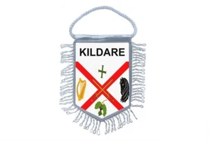 Mini Banner Fahne Wimpel Fenster Spiegel Autos Land Banner Kildare - Bild 1 von 1