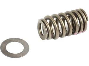 Valve Spring For 2011-2024 Ram 2500 2012 2015 2019 2016 2017 2013 2014 JH737NG - Picture 1 of 1