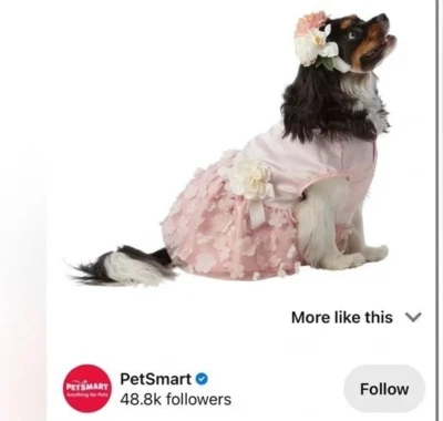 Топ лапа цветок девочка платье и обруч для волос размер маленький новый с ярлыками - Изображение 1 из 4