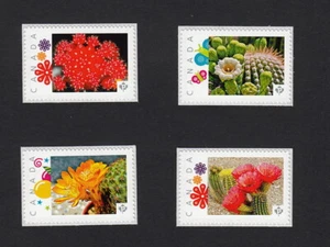 cp. CACTUS FLOWERS = set of 4 picture postage sts MNH Canada 2015 [p15/01ct41] - Picture 1 of 2