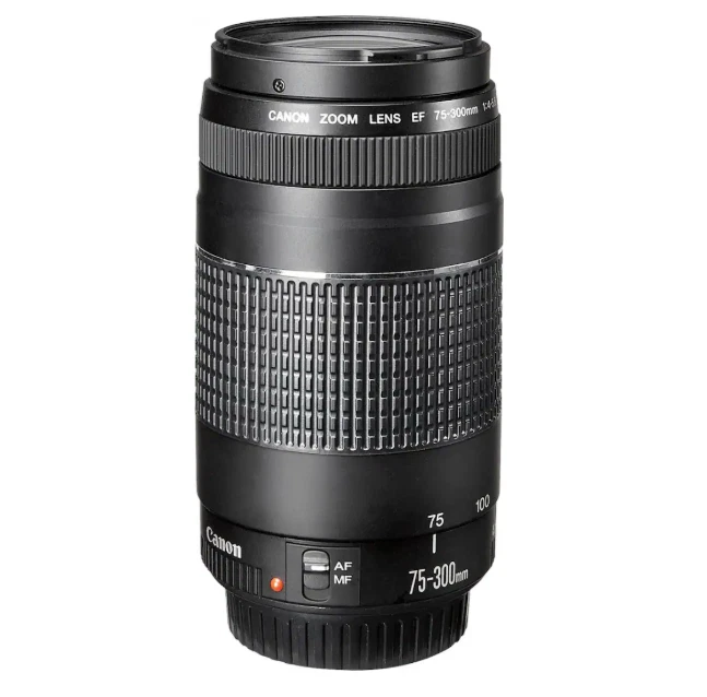 ①付き28日限定お値下げ♪Canon EF 75-300mm IS USM ①付き28日限定お値下げ♪Canon EF 75-300mm IS USM