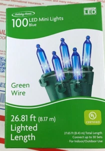 Holiday Time 100 Blue LED Mini String Lights With Green Wire Cord Christmas NEW - Picture 1 of 3