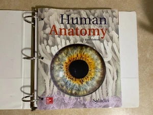 "Menschliche Anatomie" sechste Ausgabe, von Kenneth S. Saladin, 2020 (3-Ring-Ordner) - Bild 1 von 4