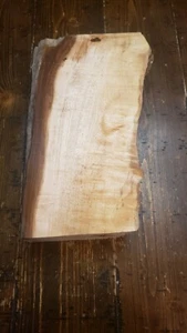 Figured/Curly Maple Slab 13 1/2" Long Carving Craft Knife Scale M1991 - Bild 1 von 9