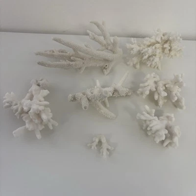 Antique Collectable Coral Decorative Marine Nature 7x Pieces White Neutral Decor - Image 1 of 4