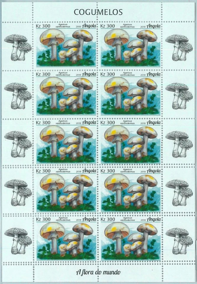A1536 - ANGOLA, ERROR, MISPERF, Miniature sheet: 2018 Yellow-strainers Mushrooms - image 1 of 1