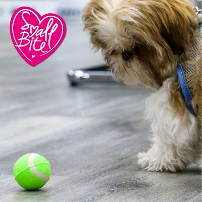 ANCOL 6 X MINI SMALL TENNIS BALL TOYS FOR PUPPIES SMALL AND EXTRA SMALL DOG BREEDS