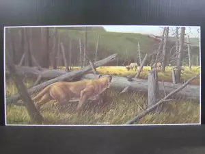 Impresión artística firmada por Harry Antis The Stalker Mountain Lion Puma Alce Ciervo - Imagen 1 de 2