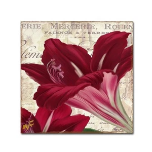 ALI4507-C1818GG Amaryllis, 18x18-Inch, 18x18 - Picture 1 of 6