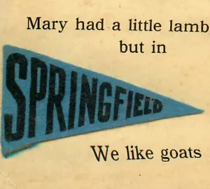 1912 Victorian Comic Postcard Vintage Springfield Man on a Leash Felt Banner - Imagen 1 de 3