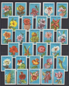 UdSSR - 1970-1980er Jahre "Blumen" Matchbox Etiketten - Lot 10 - Bild 1 von 1