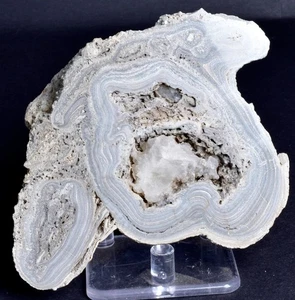 STROMATOLITE, RECENT LIVING, SOUTH AUSTRALIA S703 - Bild 1 von 6