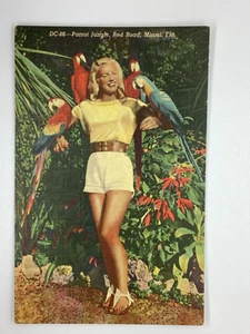 Postcard Parrot Jungle Red Road Miami Lady with multiple birds Florida FL H362 - Picture 1 of 2