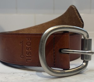 fossil griffin belt