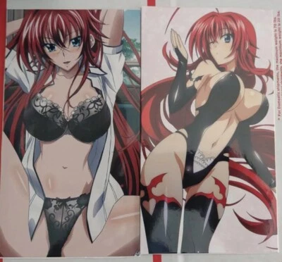 Anime Sexy Hot girl Waifu Rias Gremory High School DxD Two Pictures Size 7.5x4x1 - Image 1 of 4