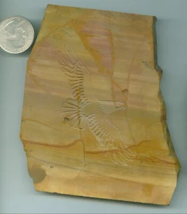 148 grams of Beautiful Natural American Jasper Large American Jasper slab - Picture 1 of 1
