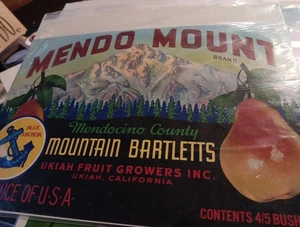 Mendo Mount Mountain Bartletts - Picture 1 of 1