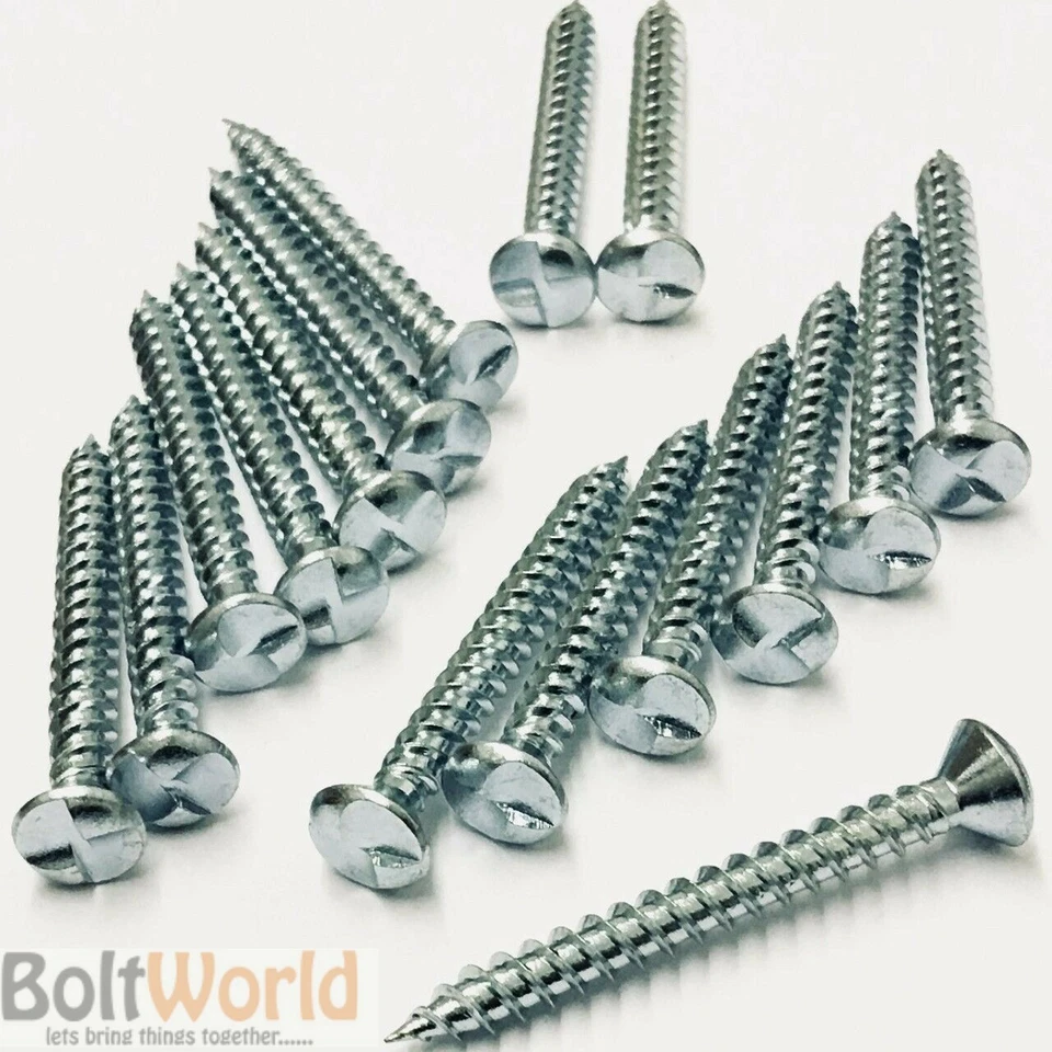 BOLT WORLD 6g 8g 10g 12g ZINC CLUTCH HEAD ONE WAY TAMPER PROOF SECURITY WOOD SCREWS BZP