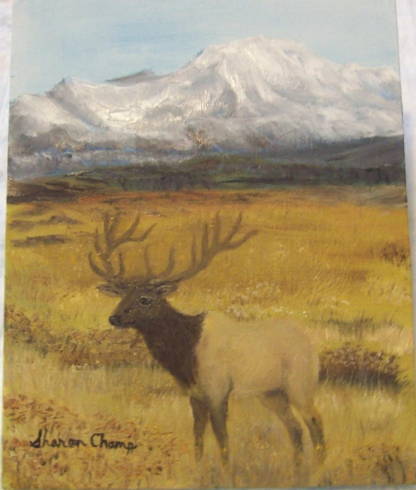 Original Oil Painting on Canvas - Signed by Artist - Bob Ross Style - Fall Elk - Image 1 of 1
