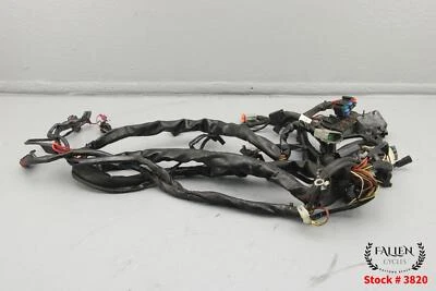 Harley Road King CVO Screamin Eagle 2002 EFI FLHRSEI arnés de cableado principal Foto 1 de 4