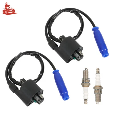 2x Bobina de encendido Bujía + Tapa para Kawasaki Teryx4 800 KRT800 2014-2022 ATV Foto 1 de 4