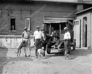 Dog Catchers With Dogs And Truck Vintage 8x10 Reprint Of Old Photo - Picture 1 of 1