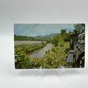 Puerto Rico, Tropical Scenery, Rivers, Sugar Cane, El Uynque Vintage Postcard - Picture 1 of 2