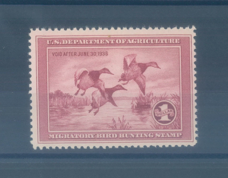 USA Migratory Bird Hunting Stamp One Dollar US Dept of Agriculture 1935 - MH - Image 1 of 1