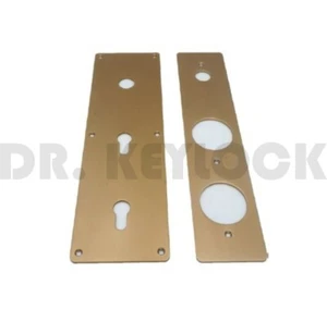 MOSTRINA PLACCA PROTETTORE DOPPIO DEFENDER PORTE BLINDATE BETA FERBONA E GARDESA - Picture 1 of 1