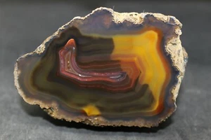 Condor agate collector specimen (fluorescent) - Picture 1 of 5