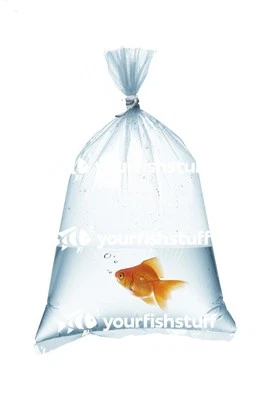 YFS Plastic Aquarium Fish Shipping Bags Watertight 6" x 16" x 2mil 50ct