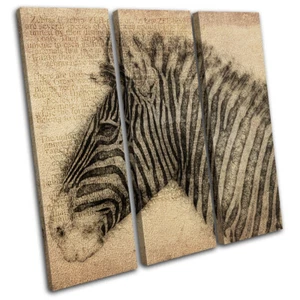 Zebra Skizze Alter Tiere LEINWAND WANDBILD Bild Druck VA - Bild 1 von 1