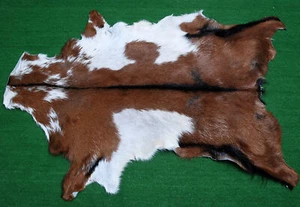 Genuine Goat hide Western taxidermy Rug Goat Natural Pattern Fur Goat Skin M-133 - Picture 1 of 3