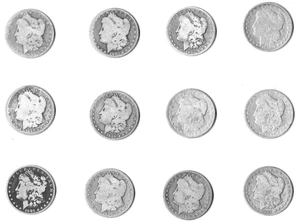 Morgan Dollar 12 Different Years/ Mints Circulated Coins Set - Collection - Picture 1 of 24