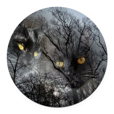 BLACK CAT HALLOWEEN Photo Charm Black Leather Chain Cord Rope Silver Bracelet - Imagem 1 de 4