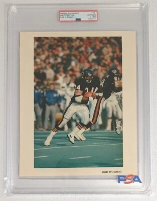 Walter Payton - PSA Type 1 - incredible color photo 8x10 original by Carl Sissac - Image 1 of 4