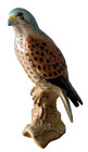 BESWICK BIRD OF PREY THE KESTREL MODEL  No. 2316 GLOSS FINISH PERFECT