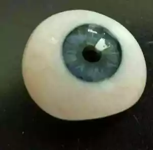 Ojo protésico humano antiguo vidrio artificial ojo azul vintage con envío gratuito - Imagen 1 de 4