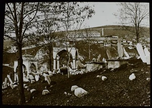 ANTIKES magisches Laternendia DALMATIEN KROATIEN NO38 FRIEDHOF UM 1920 FOTO - Bild 1 von 2