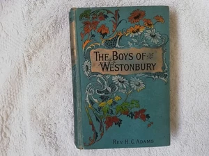The Boys of Westonbury or the monitorial System Rev H C Adams 1st 1878 Antique - Bild 1 von 22