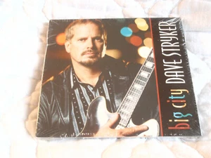DAVE STRYKER BIG CITY CD NEW DIGIPAK ECD ENHANCED JAZZ GUITARIST DAVID KIKOSKI - Picture 1 of 4