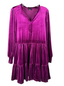1. State Women's Sz L Long Sleeve Velvet Babydoll Dress Velour Pink Drop Waist - Bild 1 von 6