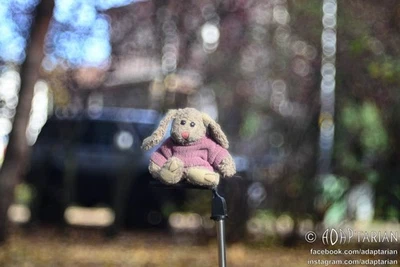 Meyer Optik PRIMOTAR 80/3.5 rebuilt to Nikon F with infinity focus | SAMPLES - Image 1 of 4