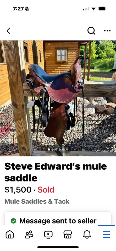 Steve Edward's Ultra Lite 骡鞍 15 英寸 状况完好 — 第 1/4 张图片