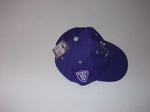 Minnesota Twins St. Thomas Tommies 2017 Purple  Hat Cap New - Picture 1 of 3