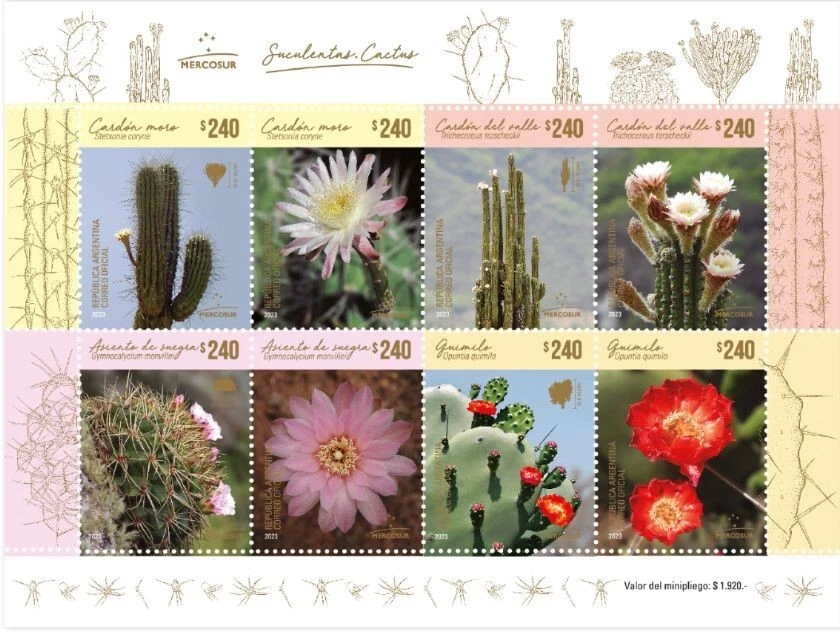 Argentina 2023 Mercosur Flor Flora Suculentas Cactus MNH (V102) Foto 1 de 1
