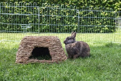 Kerbl Grashaus Nagerhaus Gras Höhle Nagetiere Kaninchen 81763
